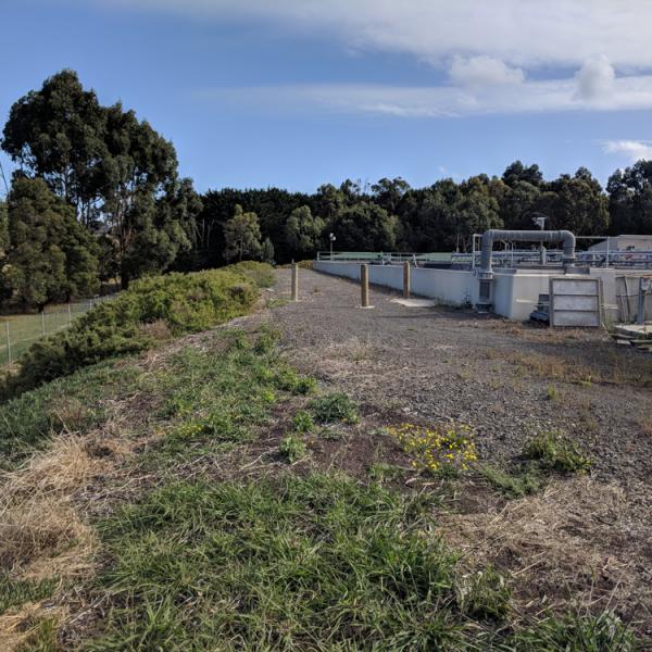 Bw-contamination-assessment-4