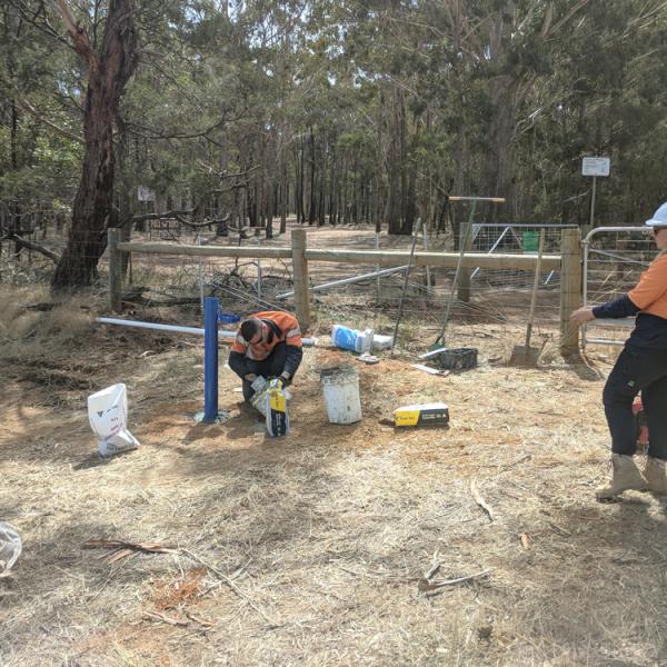 Bw-contamination-assessment-5