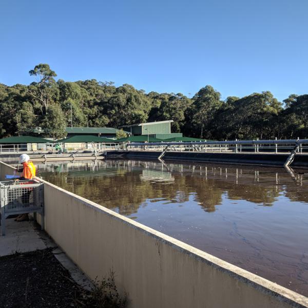 Bw-contamination-assessment-6