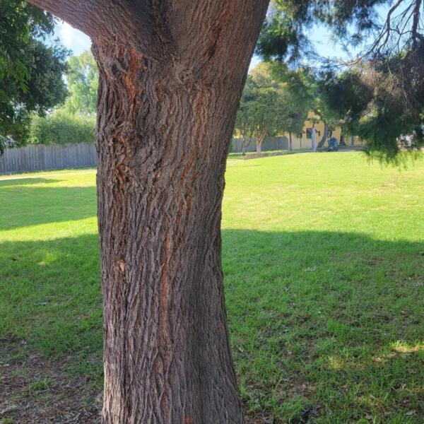 Environmental Due Diligence Services Victoria