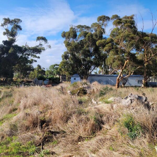 Specialist Environmental Services & Expert Advice