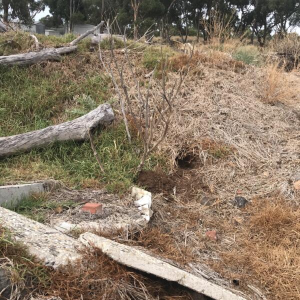 Sustainable Remediation & Contamination Management Solutions