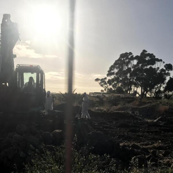 Sustainable Environmental Management