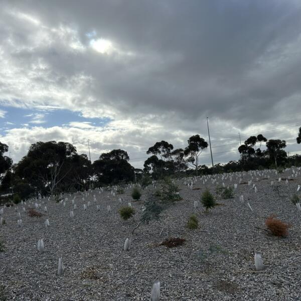 Land Remediation Victoria
