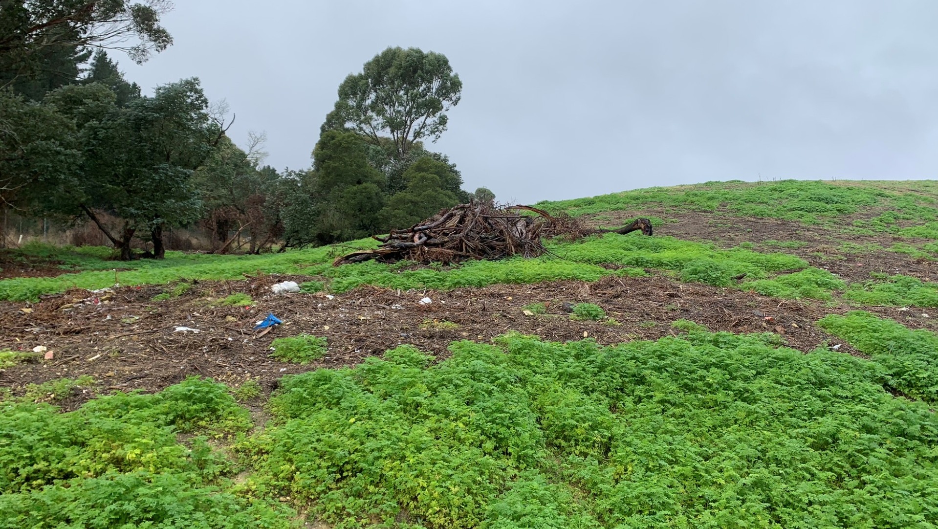 Ballarat Landfill Banner