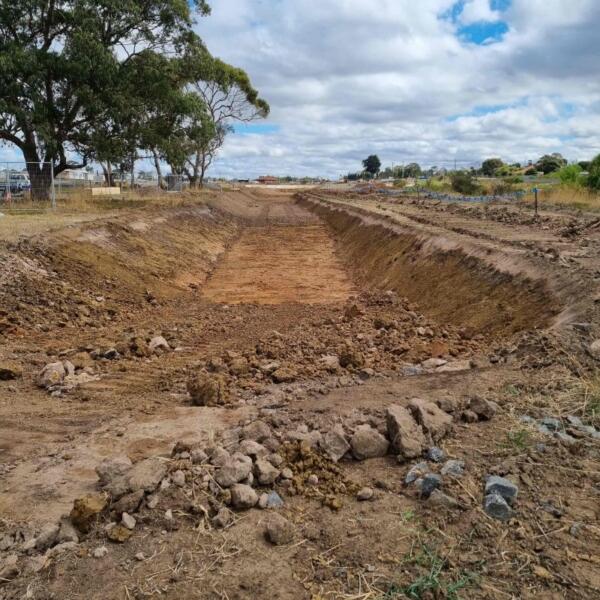 Environmental Audit Transport