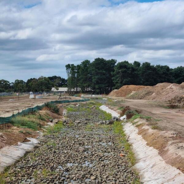 Geelong Environmental Audit