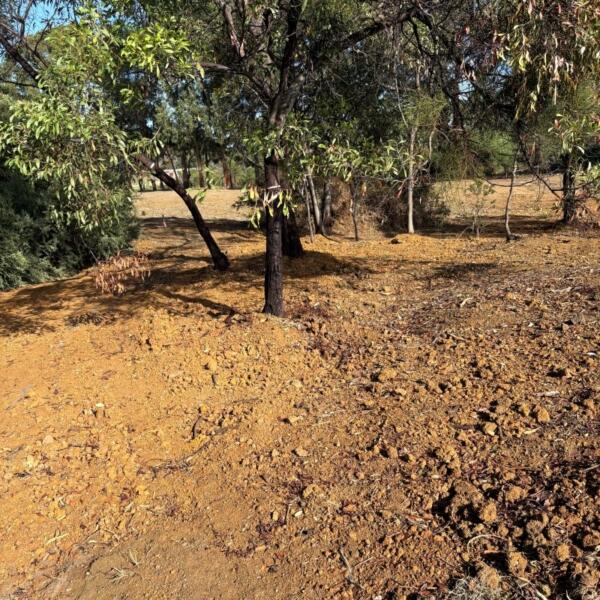 Environmental Action Notice